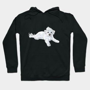 Bichon Hoodie